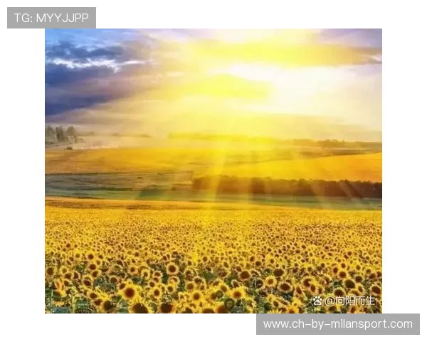 哈兰德的慈父时光:他如何用微笑点亮童年的阳光 哈兰德的慈父时光:他如何用微笑点亮童年的阳光