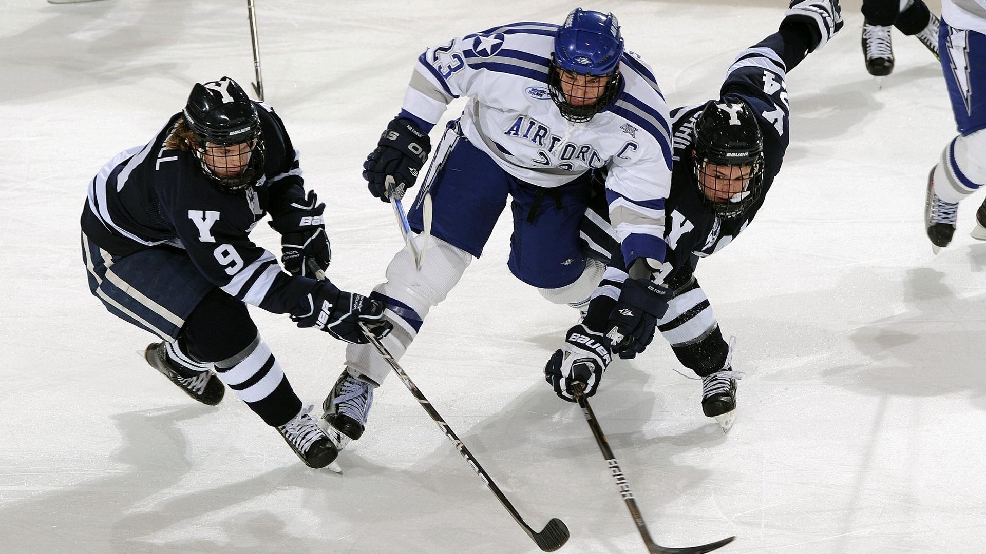 大型体育赛事志愿服务管理系统设计研究,大型体育赛事志愿者